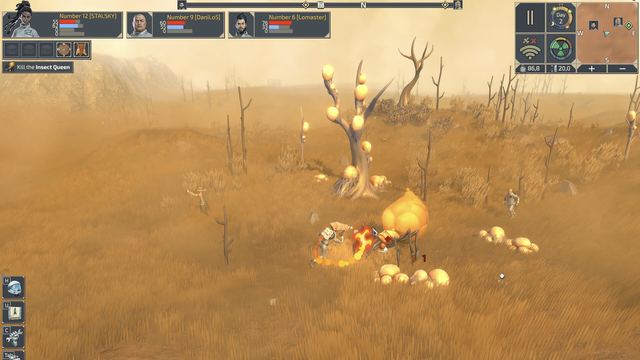 Strange glowing plants on the desert